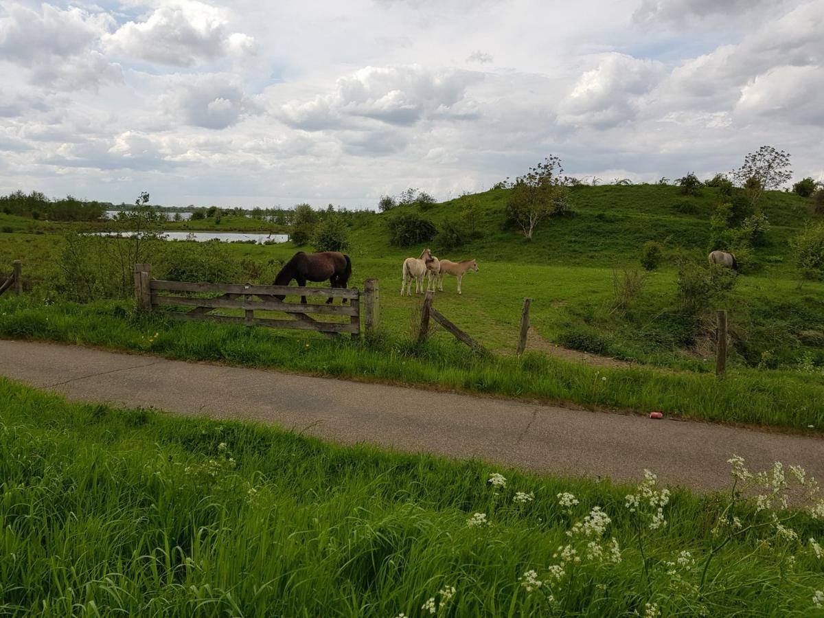 Het Gildehuis Met Sauna En Jacuzzi Stevensweert Zewnętrze zdjęcie